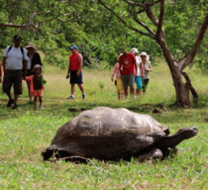 Some visitors in a Galapaguera