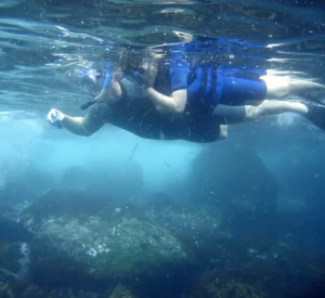 galapagos-swimming-and-snorkelling-season