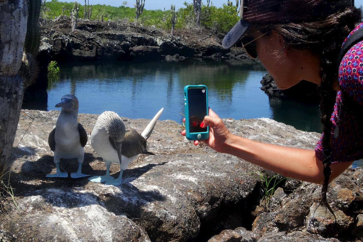 Animal-Watching-Galapagos-Islands-SmartGalapagos