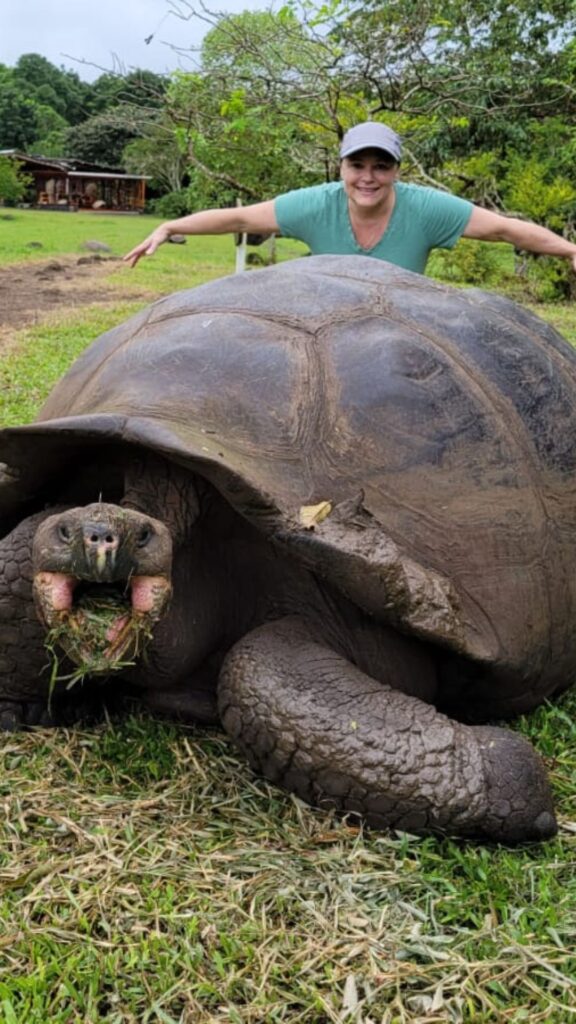 A costumer with a very big Galapagos Turtle
