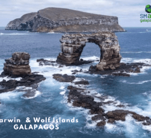 Galapagos Darwin and Wolf