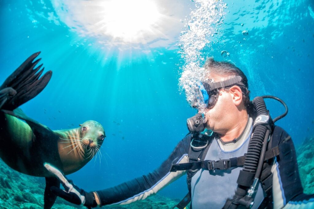diving-sea-lion-galapagos-undersea-photo-ecuador-wisedestinations