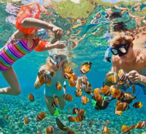 snorkeling tour for kids