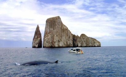 Galapagos 360 Mega adventure tour