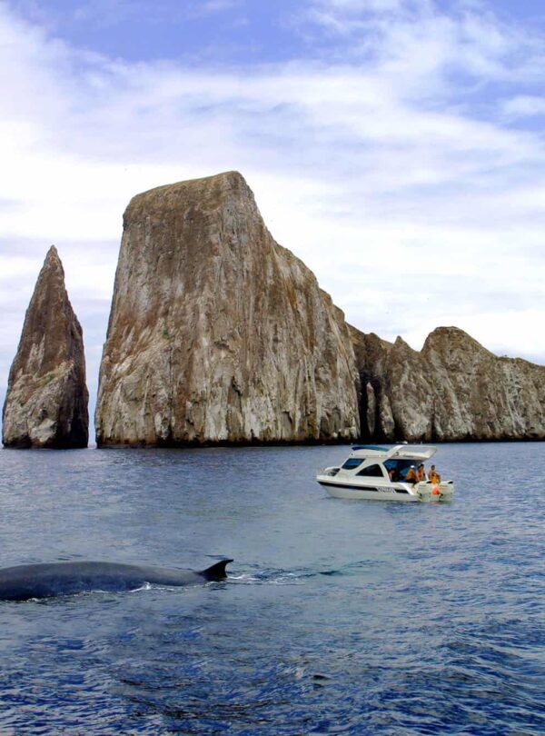 Galapagos Kicker Rock