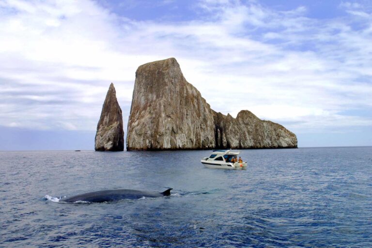Galapagos Kicker Rock