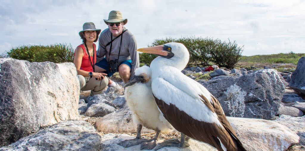 Galapagos expedition with birdwatching